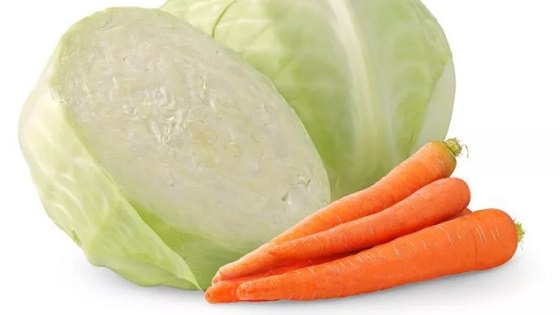 Капуста и морковка в меню собак